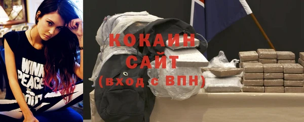 стафф Аркадак