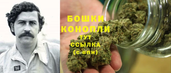трава Арсеньев